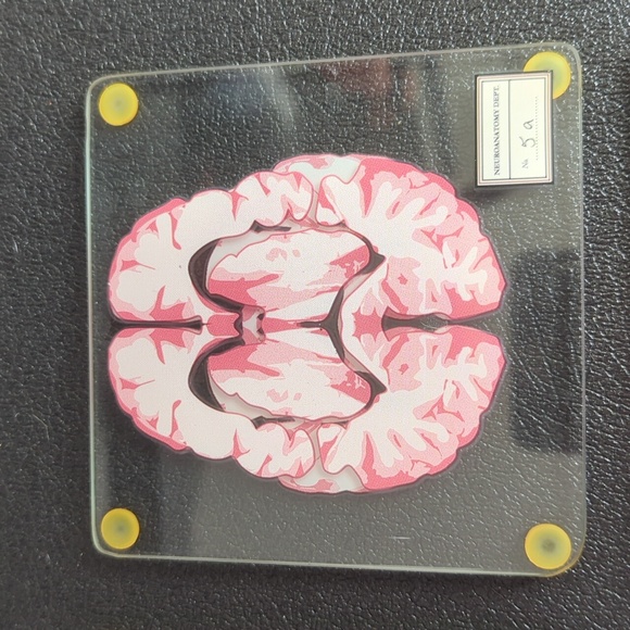 Glass Brain Coasters Set - Picture 3 of 4